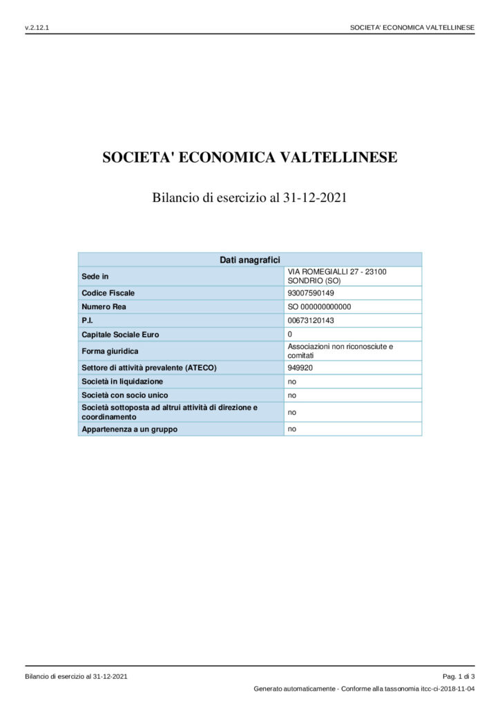 thumbnail of Bilancio CEE 2021